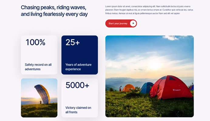 Impact Metrics Section